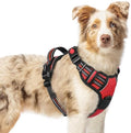 rabbitgoo Dog Harness Medium Sized, Updated Easy On & Off by rabbitgoo
