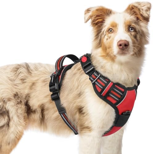 rabbitgoo Dog Harness Medium Sized, Updated Easy On & Off by rabbitgoo