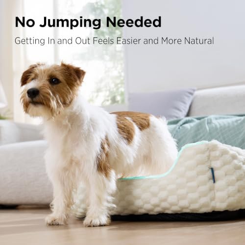 Bedsure Washable Fluffy Cute Dog Beds - Image 6