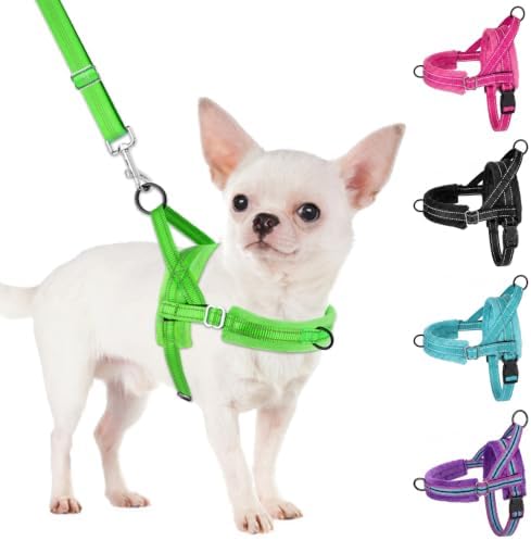 SlowTon No Pull Small Dog Harness and Leash Set by SlowTon