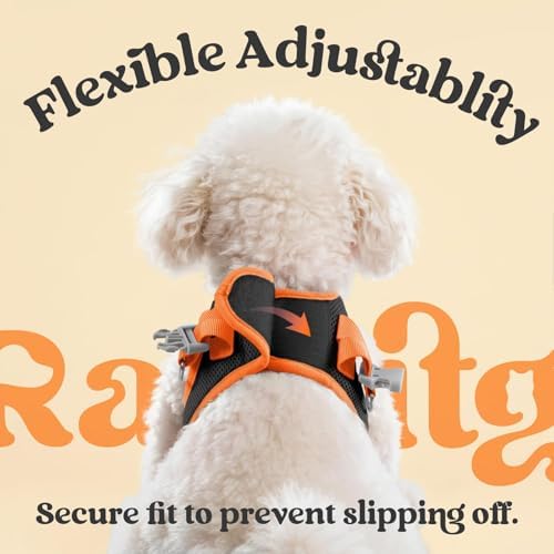 rabbitgoo Dog Harness Small Sized and Leash Set, Step in Soft Vest - Image 5