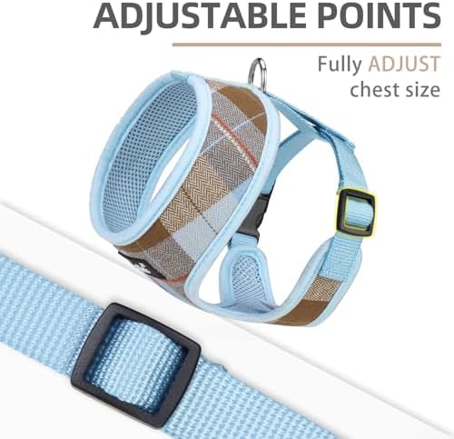 PUPTECK Small Dog Harness and Leash Set No Pull - Image 2