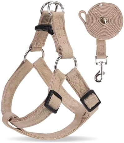 BINGPET No Pull Dog Harness and Leash Set, Adjustable Step-in Vest by BINGPET
