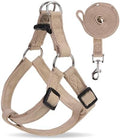 BINGPET No Pull Dog Harness and Leash Set, Adjustable Step-in Vest by BINGPET