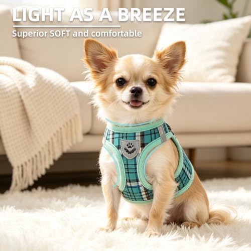 PUPTECK Dog Harness, Collar and Leash Set No Pull - Image 3