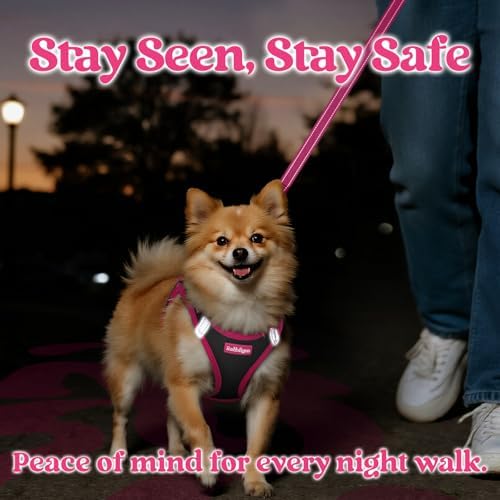 rabbitgoo Dog Harness Small Sized and Leash Set, Step in Soft Vest - Image 5