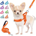 Lukovee Small Dog Harness and Leash Set, No Pull Soft Padded Vest by Lukovee