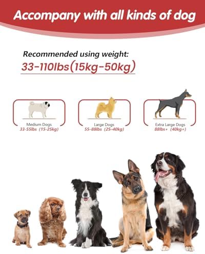 Hands Free Dog Leash - Image 6