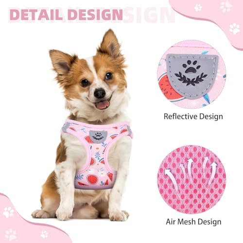 KOOLTAIL Dog Harness and Leash Set - Image 4