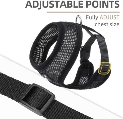 PUPTECK Small Dog Harness and Leash Set No Pull - Image 3