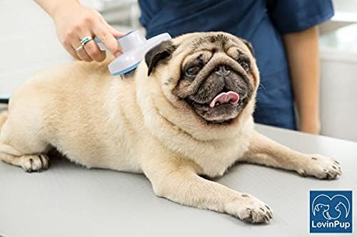Pet Slicker Brush – Self Cleaning Brush - Image 5
