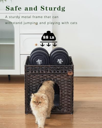 SETVSON Cat Beds for Indoor Cats Extra Large Double PE Rattan - Image 3