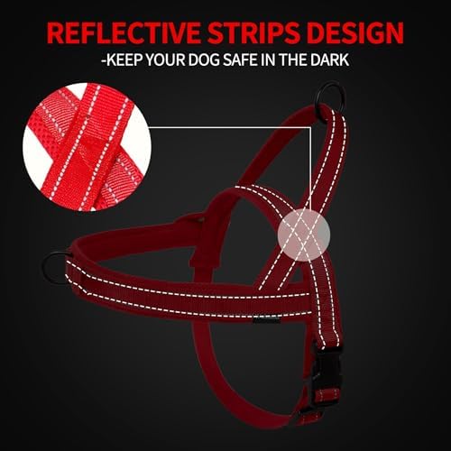 No Pull Dog Harness and 5FT Leash Set - Image 4