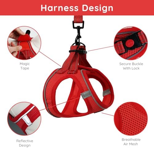 BELLA & PAL Step in Puppy Harness and Leash Set - Image 2