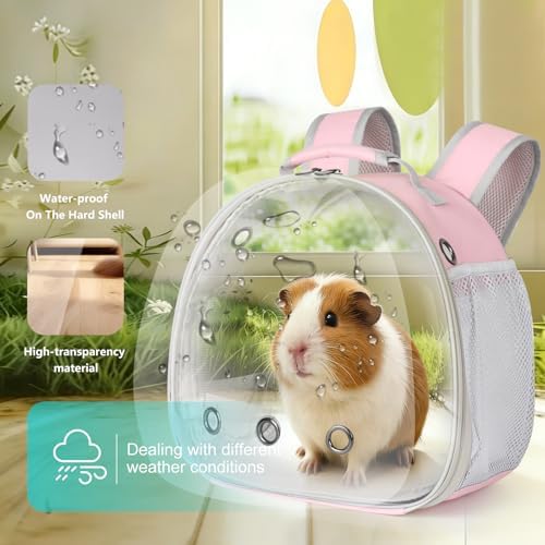 Guinea Pig Carrier, Bunny Rat Bird - Image 4