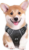 HEELE Dog Harness Dog Harness Small Dog No Pull Harness by HEELE
