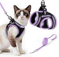 rabbitgoo Cat Harness and Leash Set, Step-in Soft Vest by rabbitgoo
