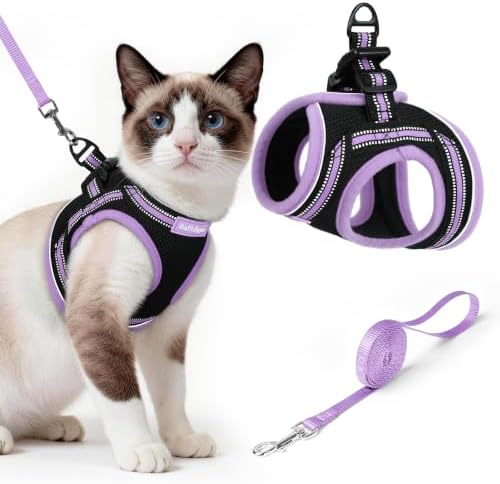 rabbitgoo Cat Harness and Leash Set, Step-in Soft Vest by rabbitgoo