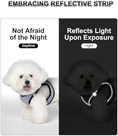 Dog Harness Small Sized and Leash Set, Step in Soft Light Puppy Vest, - Image 3