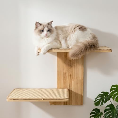 Cat Wall Shelves, Wall Mount Adult Cat Tree by Nagpew