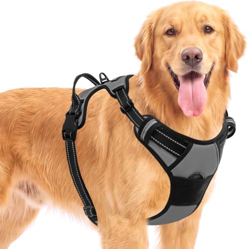 BARKBAY Dog Harness for Medium Sized Dog No Pull 2 Leash Clips Dog Vest by BARKBAY