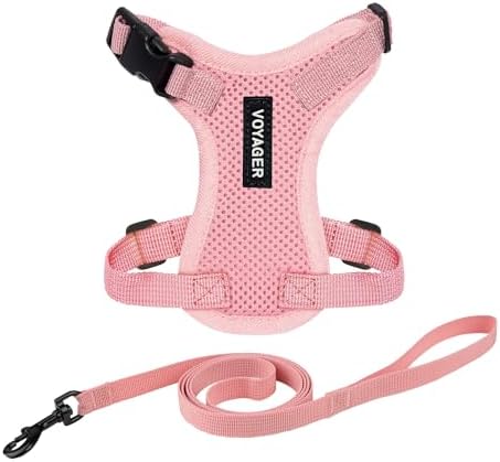 Voyager Step-in Lock Cat Harness & Leash Set by BestPetSuppliesLLC