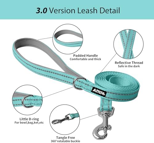 AIITLE Dog Harness and Leash Set, Step-in Puppy Pet Vest, Turquoise M - Image 3