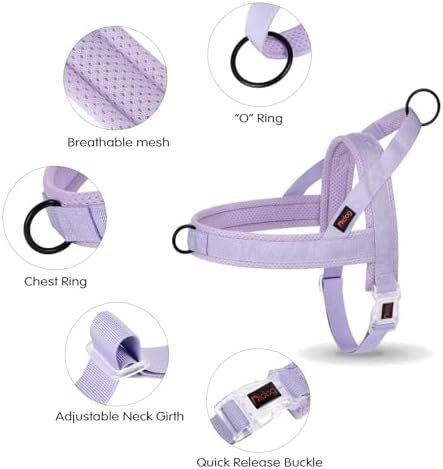Didog No Pull Dog Harness with Breathable Mesh Padded, Quick Fit & Easy on Dog - Image 5