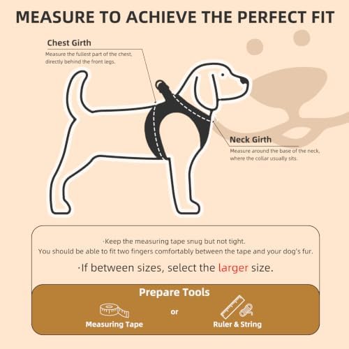 PUPTECK Dog Harness, Collar and Leash Set No Pull - Image 2