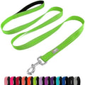 6 FT Basic Dog Leash for Small Dogs by Penseepet