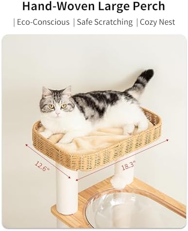 Wood Cat Tree for Large Cats, Modern Cat Tree Tower - Image 6