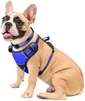 WINSEE Dog Harness No Pull, Pet Harnesses by WINSEE