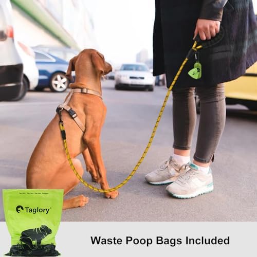 Taglory Rope Dog Leash for Small Medium Dogs, 5 FT Padded Handle - Image 2