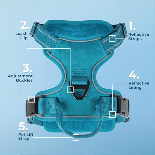 Voyager Dog Harness Dual Leash Attachment No-Pull Control Adjustable Soft but - Image 5