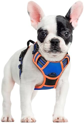 rabbitgoo Dog Harness, No Pull for Small Dogs by rabbitgoo