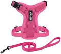 Voyager Step-in Lock Cat Harness & Leash Set by BestPetSuppliesLLC