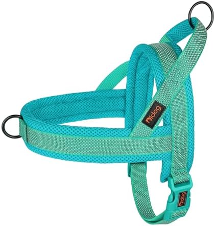 Didog No Pull Dog Harness for Large Dogs, Breathable Mesh Padded by Didog