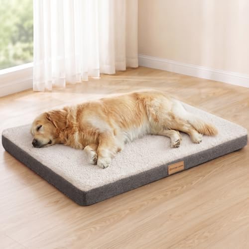 Patas Lague Orthopedic Large Dog Bed Washable Pet Sofa Mat 48''X30'' Ivory by PatasLague
