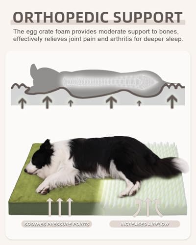 KSIIA Orthopedic Dog Bed for Extra Large Dogs - Image 2