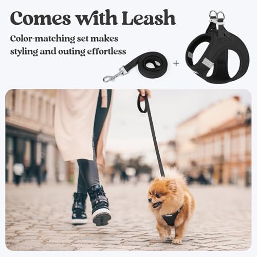 rabbitgoo Dog Harness Small Sized and Leash Set, Step-in Puppy Pet Vest - Image 5