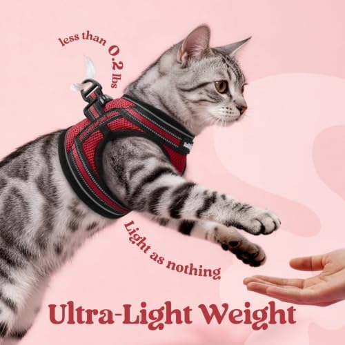 rabbitgoo Cat Harness and Leash Set, Step-in Soft Vest - Image 6
