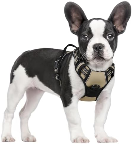 rabbitgoo Dog Harness, No Pull for Small Dogs by rabbitgoo