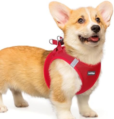 rabbitgoo Step-in Small Dog Harness, Puppy Vest by rabbitgoo