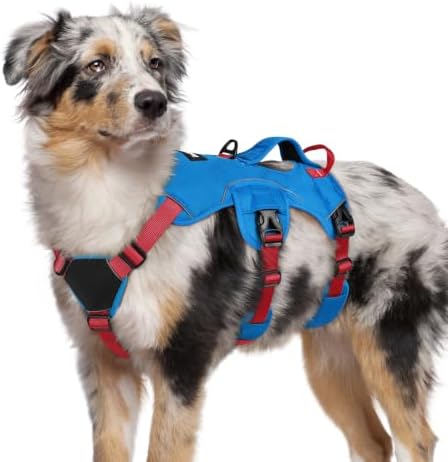 rabbitgoo Escape Proof Dog Harness by rabbitgoo