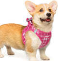 rabbitgoo Step-in Small Dog Harness, Puppy Vest by rabbitgoo