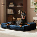 FURTIME XXL Orthopedic Dog Beds Large Sized Dog, Extra Thick Dog Couch 48" by FURTIME