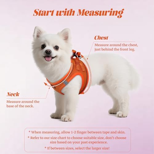 No Pull Dog Puppy Harness and Leash Set Reflective Mesh Vest X-Small - Image 2