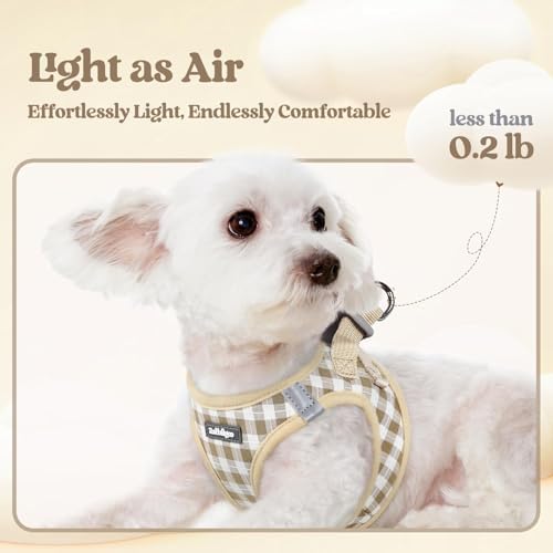 rabbitgoo Dog Harness Small Sized and Leash Set, Step-in Puppy Pet Vest - Image 3
