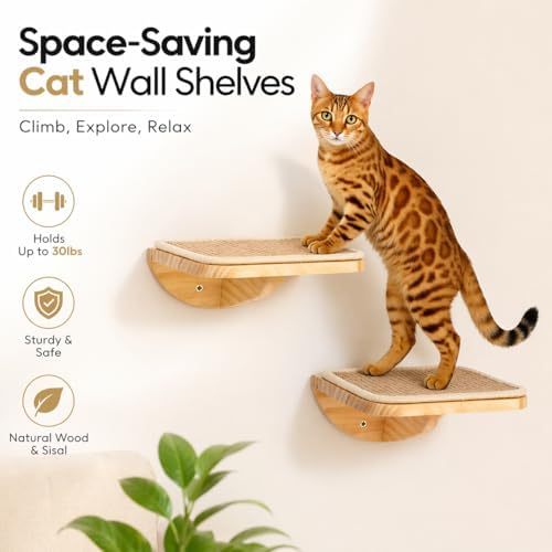 2 Set Wooden Cat Wall Shelves - Image 2