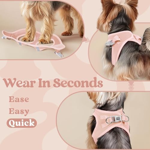 rabbitgoo Step-in Small Dog Harness, Puppy Vest - Image 4